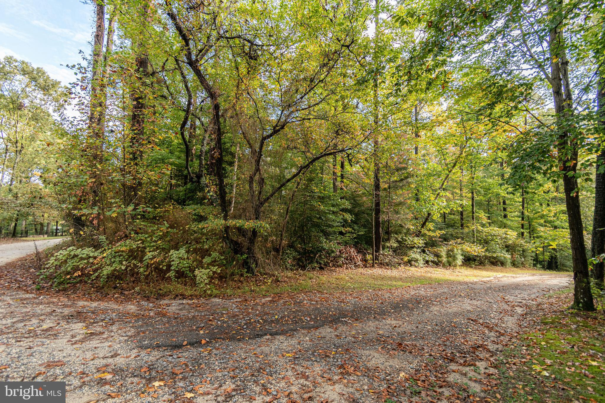 6860 Marshall Road St. Leonard, MD 20685 - Photo 9 of 13
