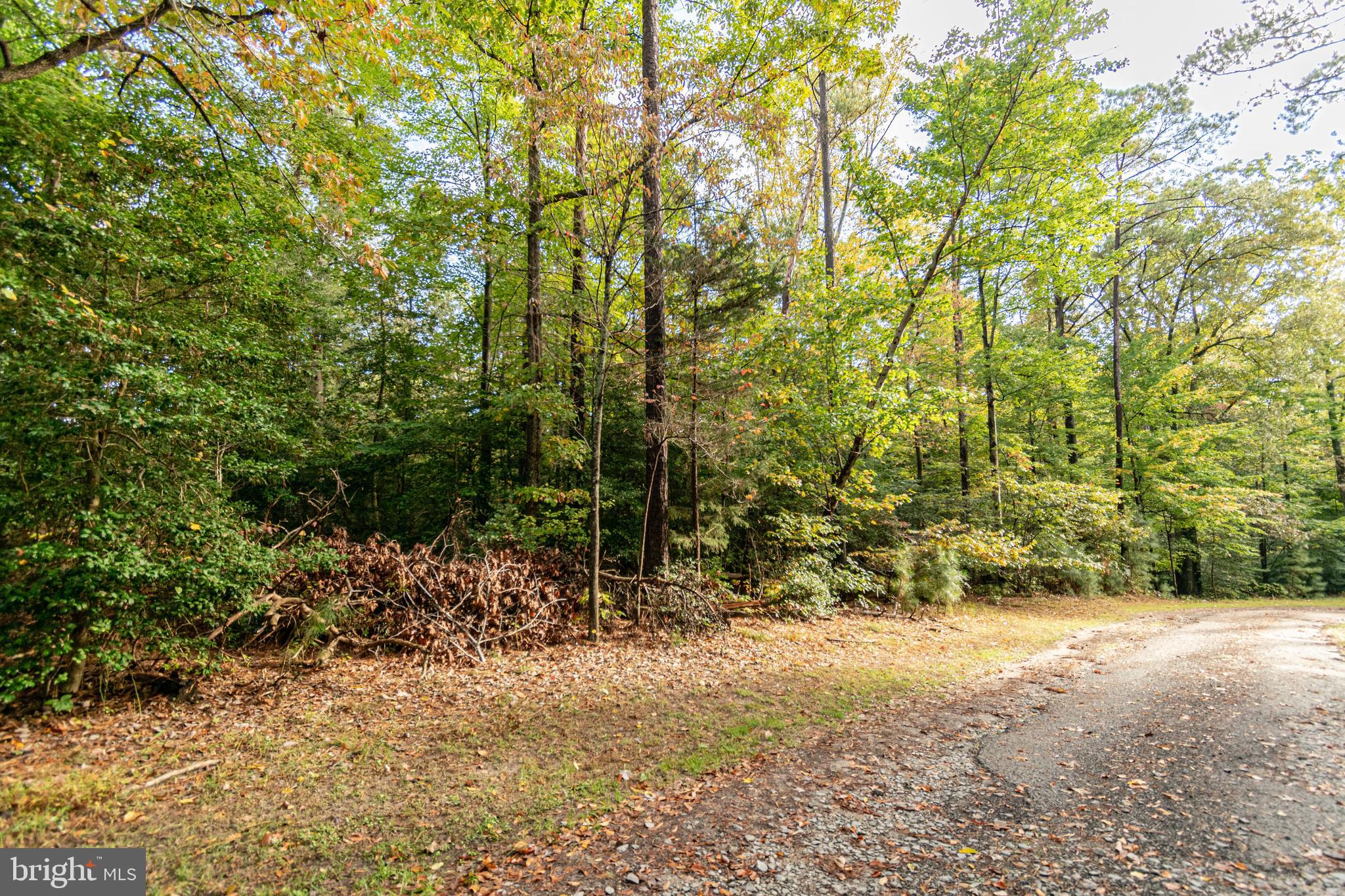 6860 Marshall Road St. Leonard, MD 20685 - Photo 10 of 13