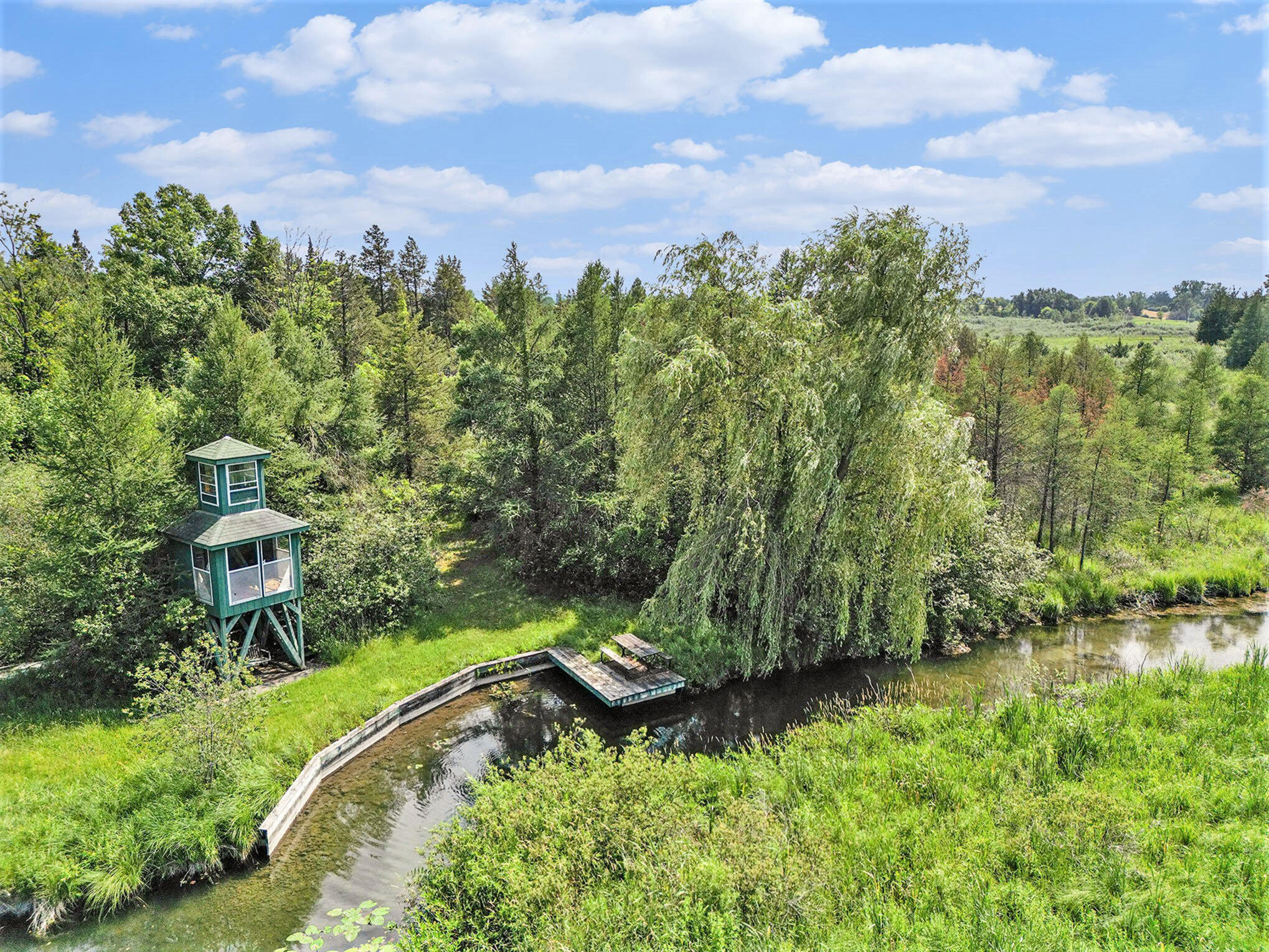 16340 Wheaton Road Cement City, MI 49233 - Photo 6 of 34 032_dji_0080