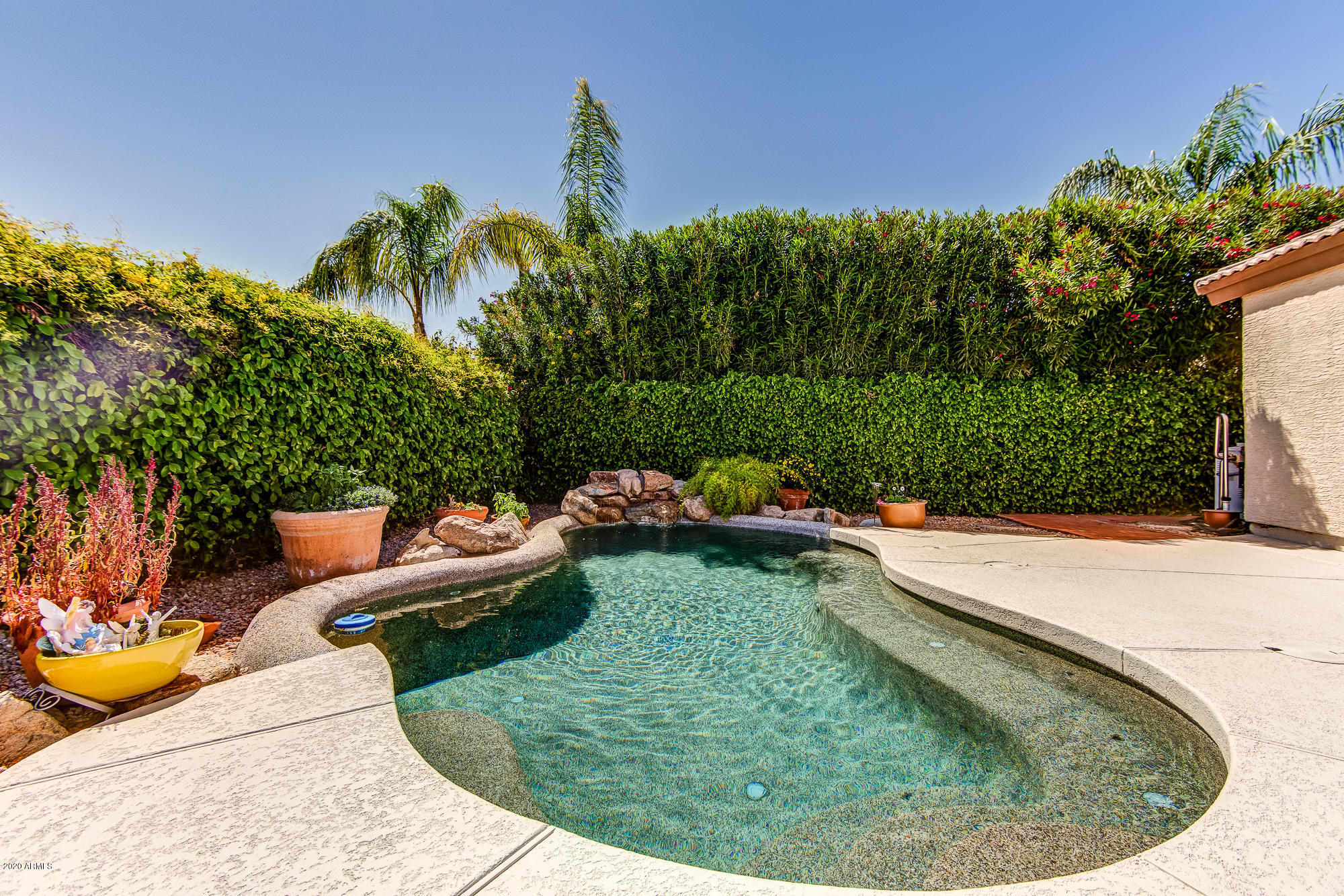 4521 East St John Road Phoenix, AZ 85032 - Photo 21 of 21 Pool