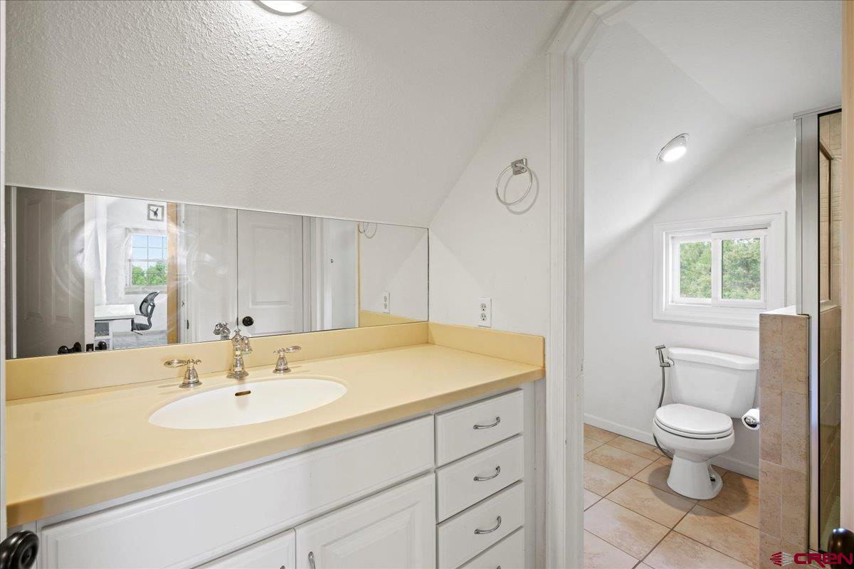 1010 Canyon Drive Ridgway, CO 81432 - Photo 21 of 38 a bathroom with a sink a toilet and a mirror
