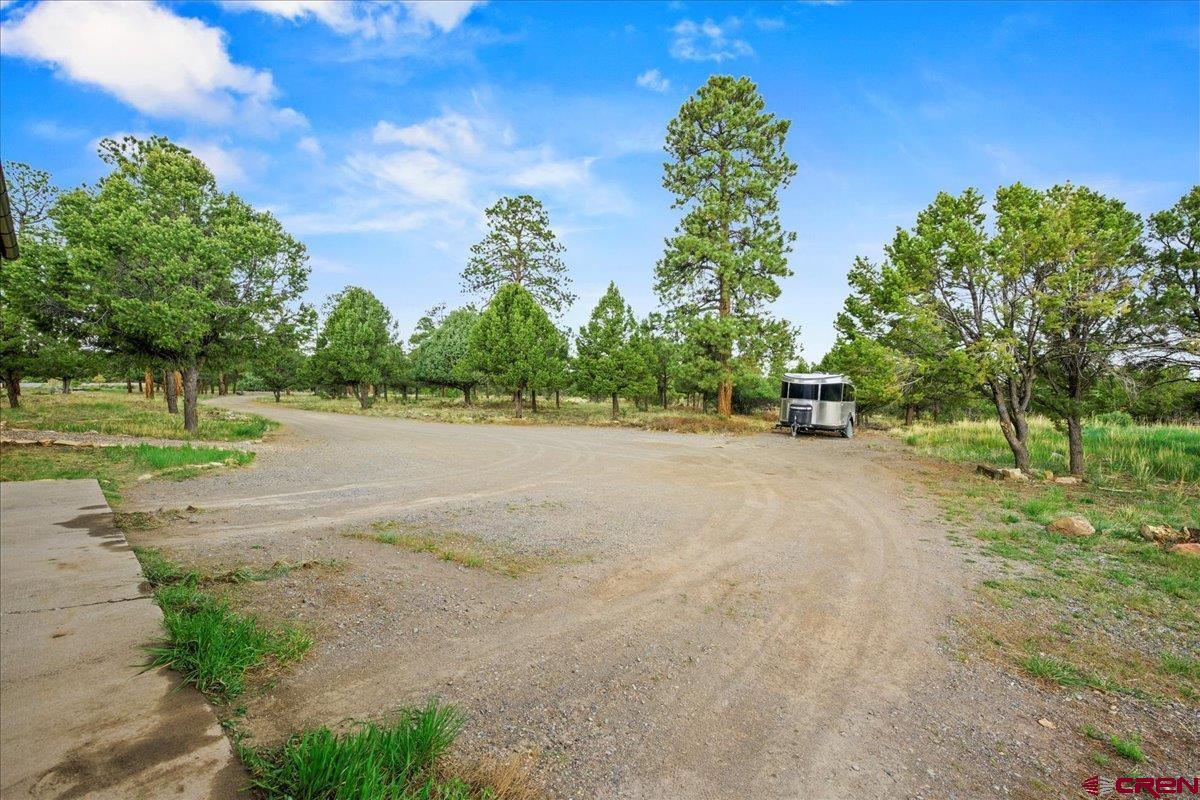 1010 Canyon Drive Ridgway, CO 81432 - Photo 32 of 38 a view of a road with a yard
