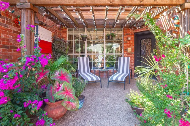 a view of a flower in a yard