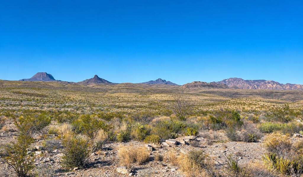0 East Cedar Springs Road Alpine, TX 79830 - Photo 4 of 8 Gallery Image 4