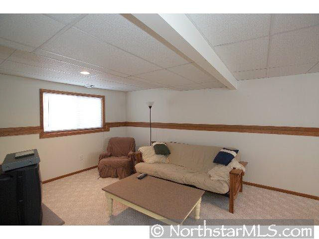 807 46th Avenue Northwest Rochester, MN 55901 - Photo 7 of 10