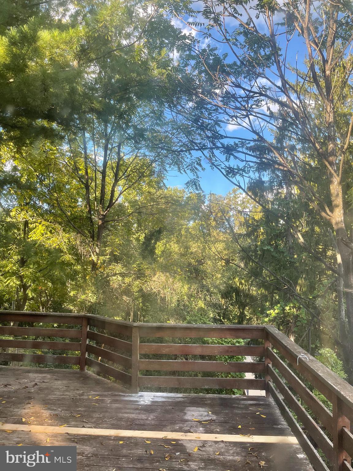 7771 Parkview Road Upper Darby, PA 19082 - Photo 14 of 21 View from the Rear Deck