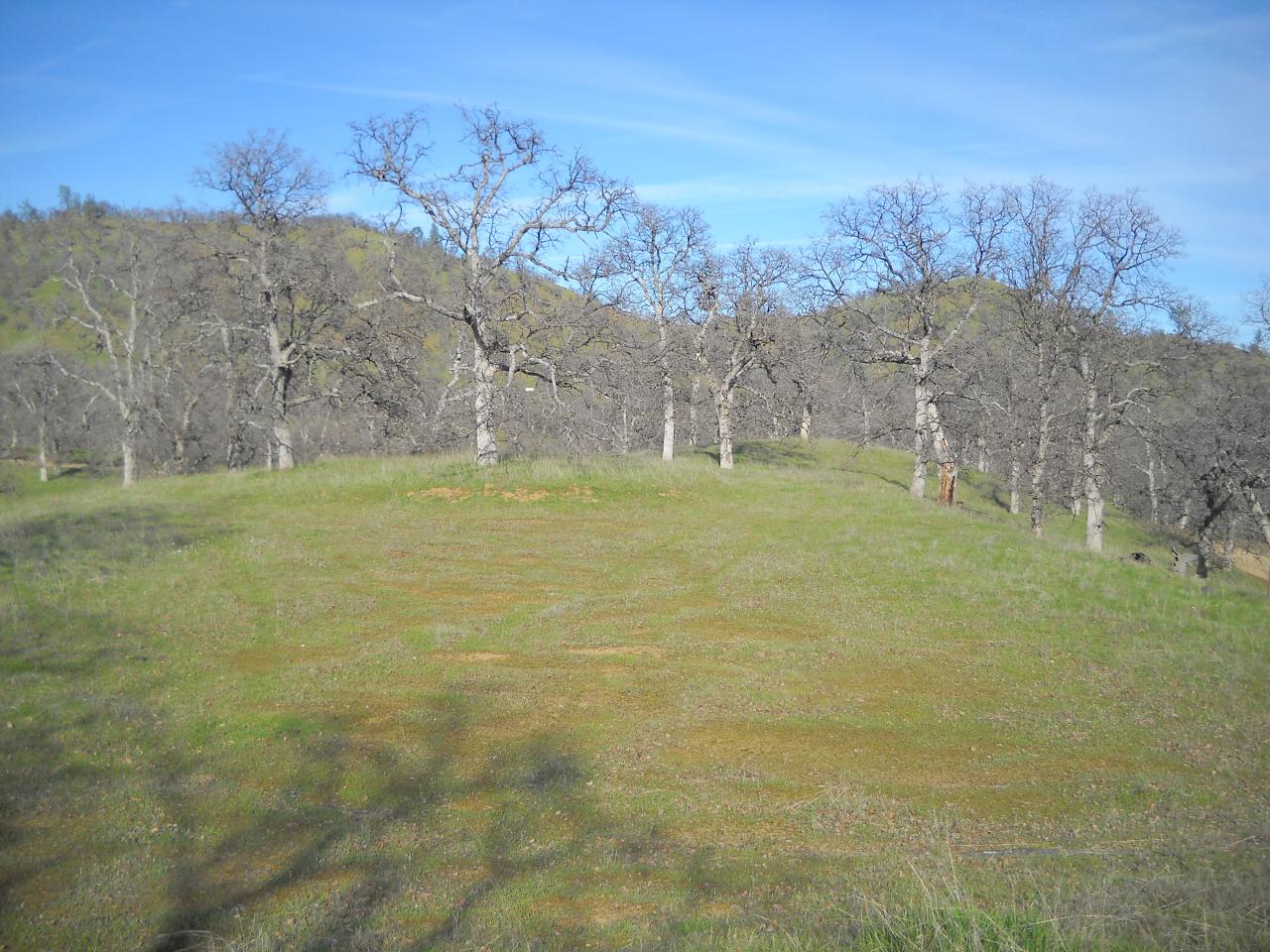Lot 238 Fiddlers Road Igo, CA 96047 - Photo 1 of 9 1