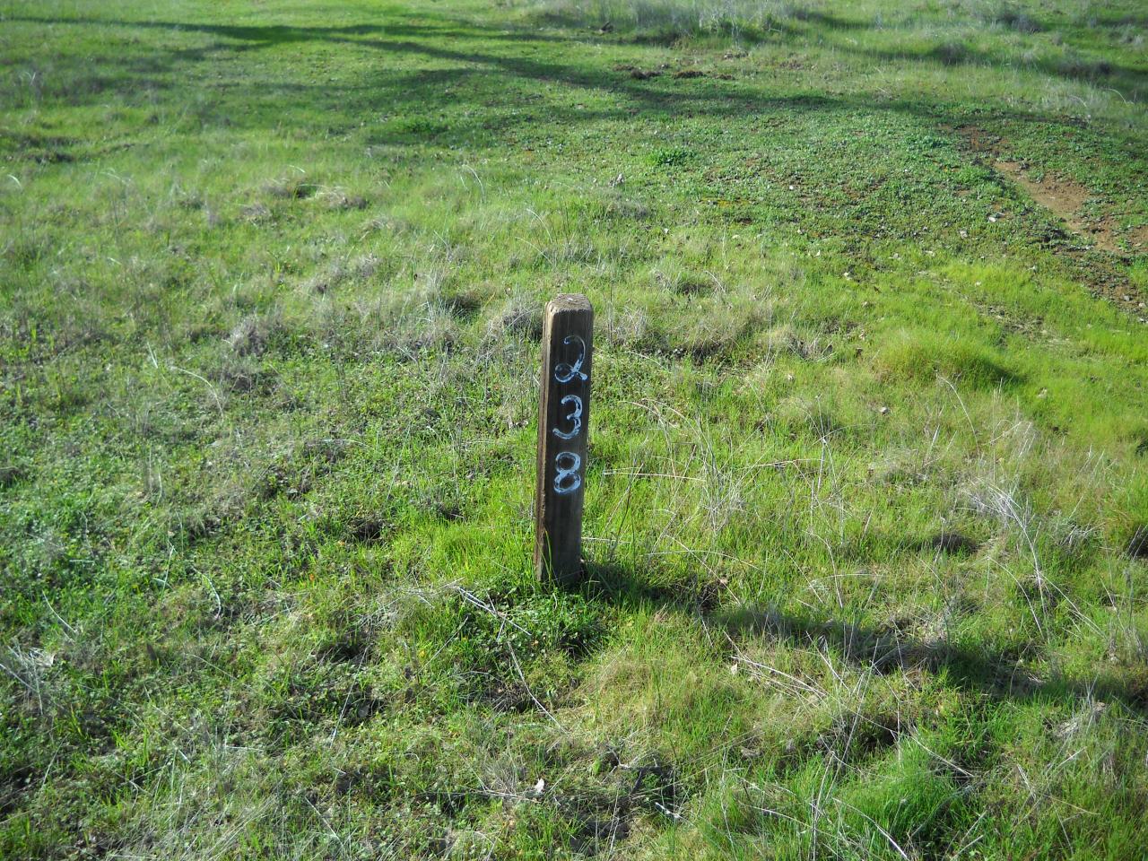 Lot 238 Fiddlers Road Igo, CA 96047 - Photo 3 of 9 Lot number