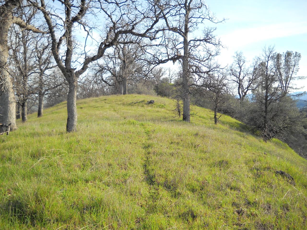Lot 238 Fiddlers Road Igo, CA 96047 - Photo 4 of 9 ridge
