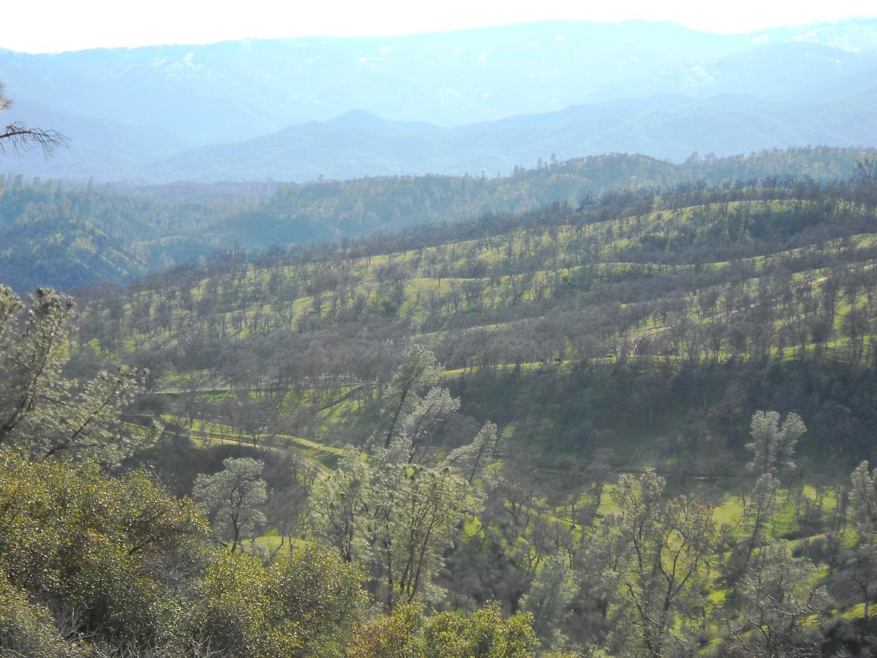 Lot 238 Fiddlers Road Igo, CA 96047 - Photo 5 of 9 View from ridge
