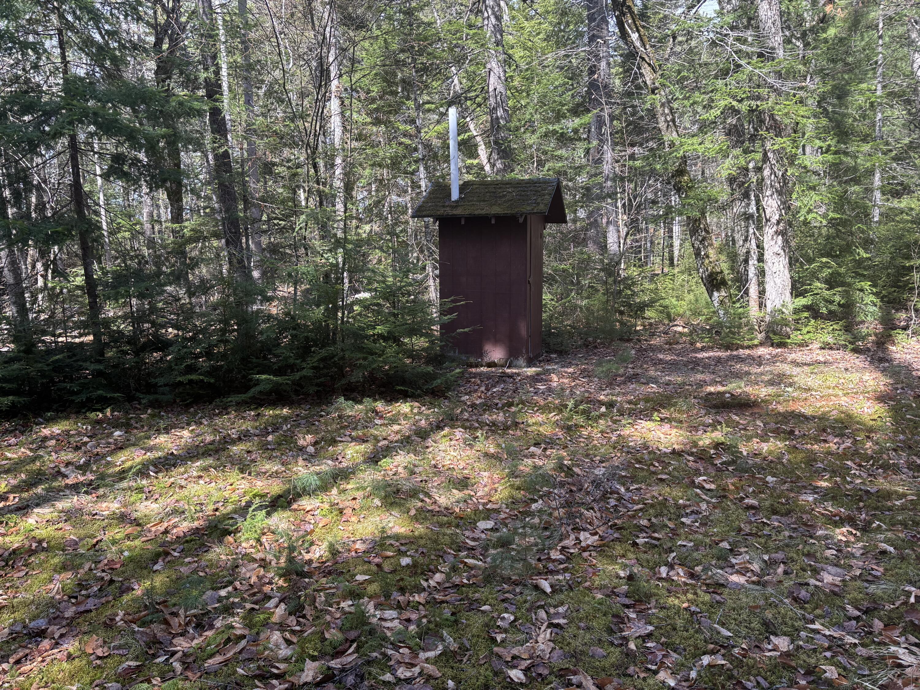 173 Evergreen Way Millinocket, ME 04462 - Photo 28 of 32 IMG_6046