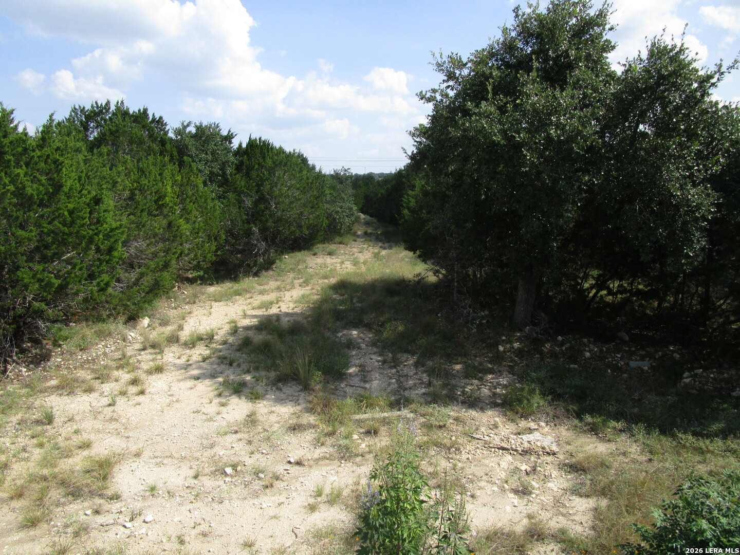 3246 Hawthorne Spring Branch, TX 78070 - Photo 10 of 12 Gallery Image 10