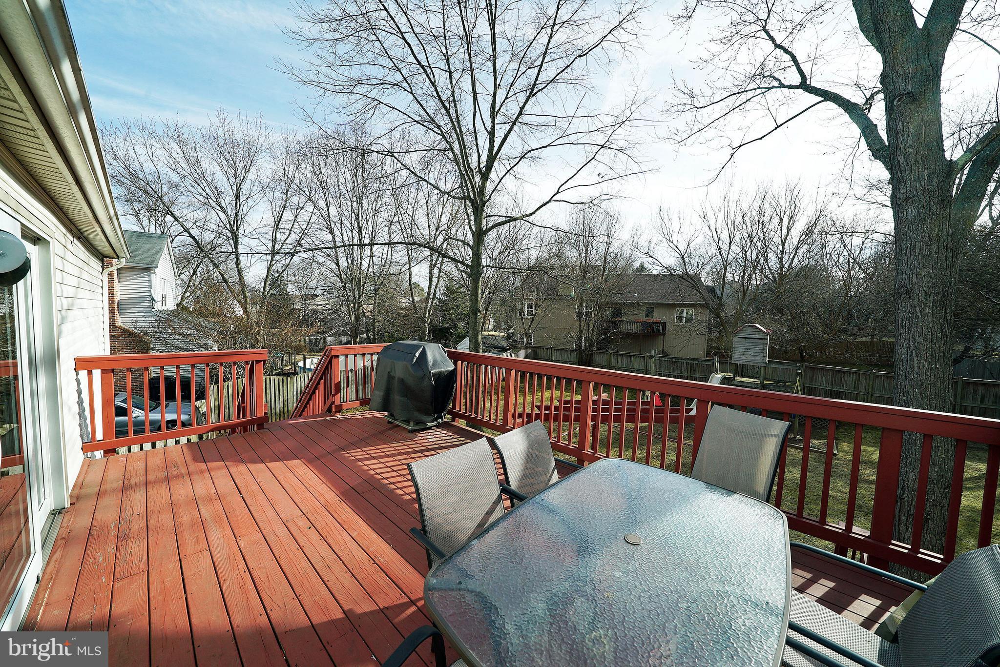 4304 Cub Run Road Chantilly, VA 20151 - Photo 4 of 27 YARD 3 - DECK