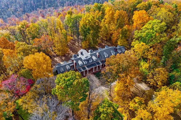 front view of a brick house with a tree in front of it