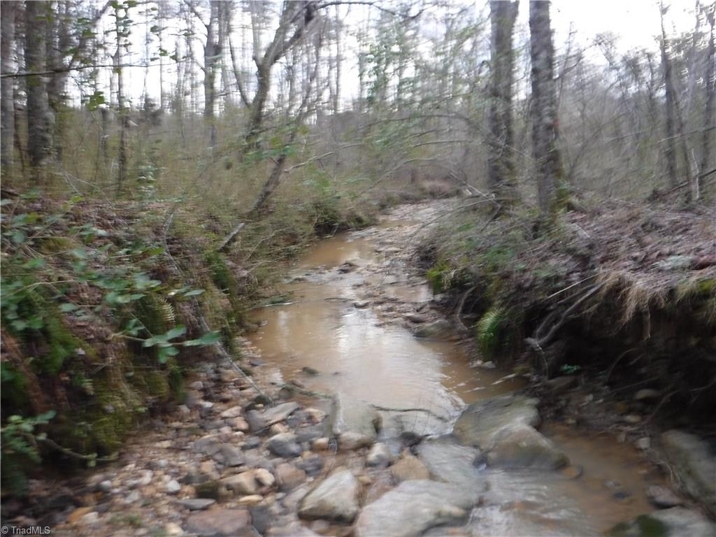 1331 Wilson Road Pilot Mountain, NC 27041 - Photo 11 of 18 Gallery Image 11