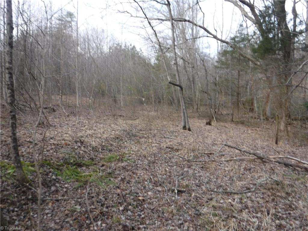 1331 Wilson Road Pilot Mountain, NC 27041 - Photo 12 of 18 Gallery Image 12