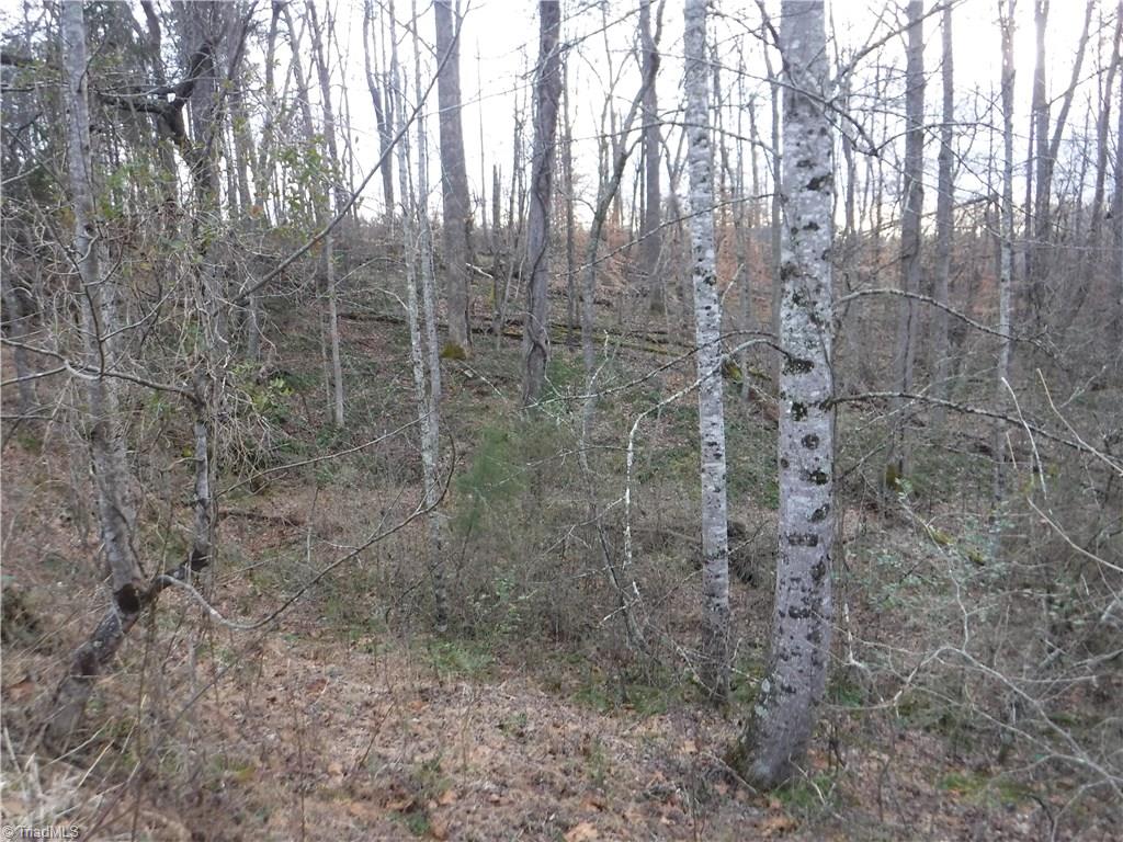 1331 Wilson Road Pilot Mountain, NC 27041 - Photo 13 of 18 Gallery Image 13