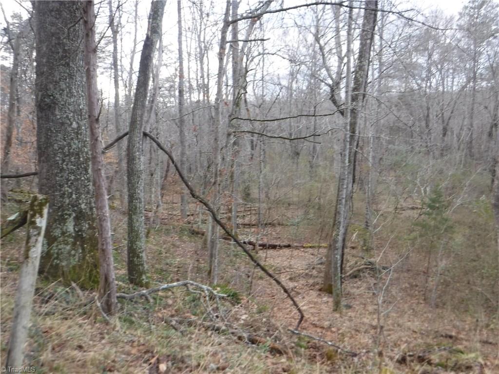 1331 Wilson Road Pilot Mountain, NC 27041 - Photo 14 of 18 Gallery Image 14