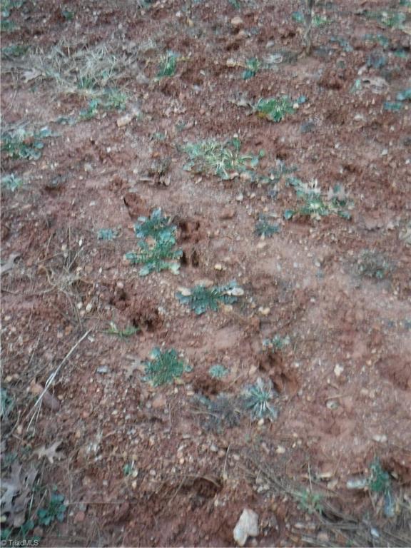 1331 Wilson Road Pilot Mountain, NC 27041 - Photo 15 of 18 Gallery Image 15
