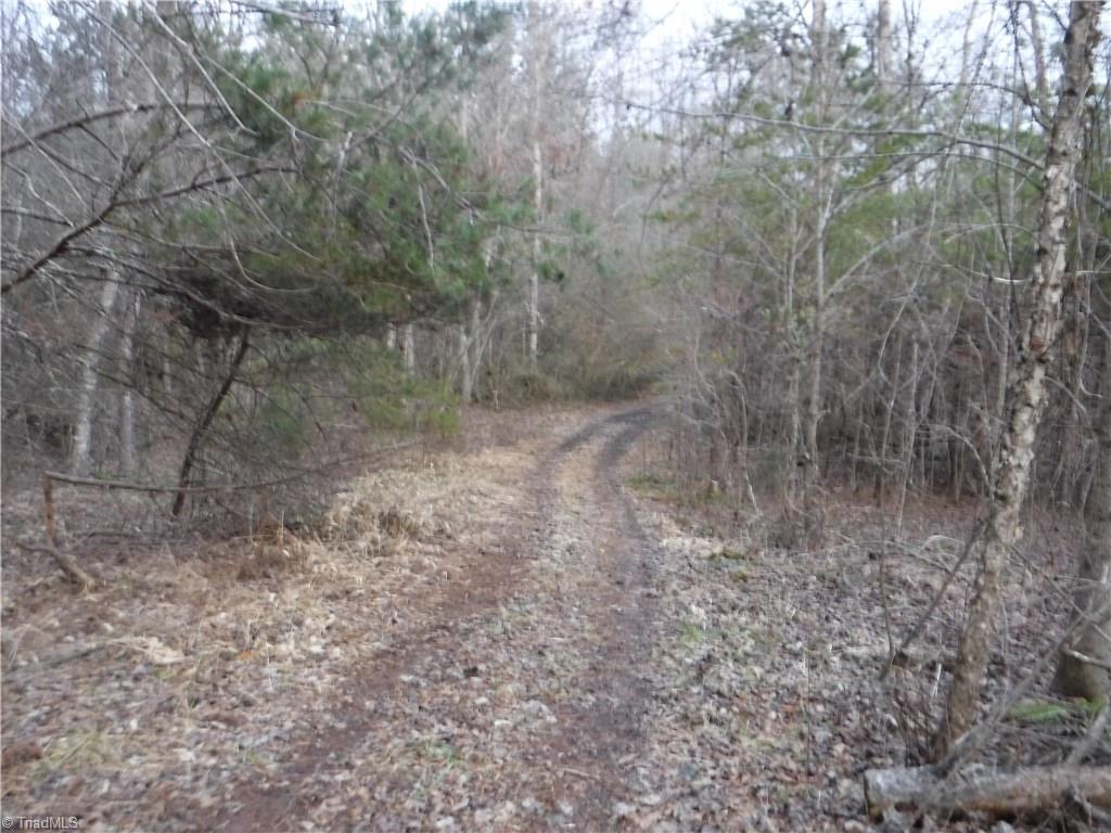 1331 Wilson Road Pilot Mountain, NC 27041 - Photo 17 of 18 Gallery Image 17