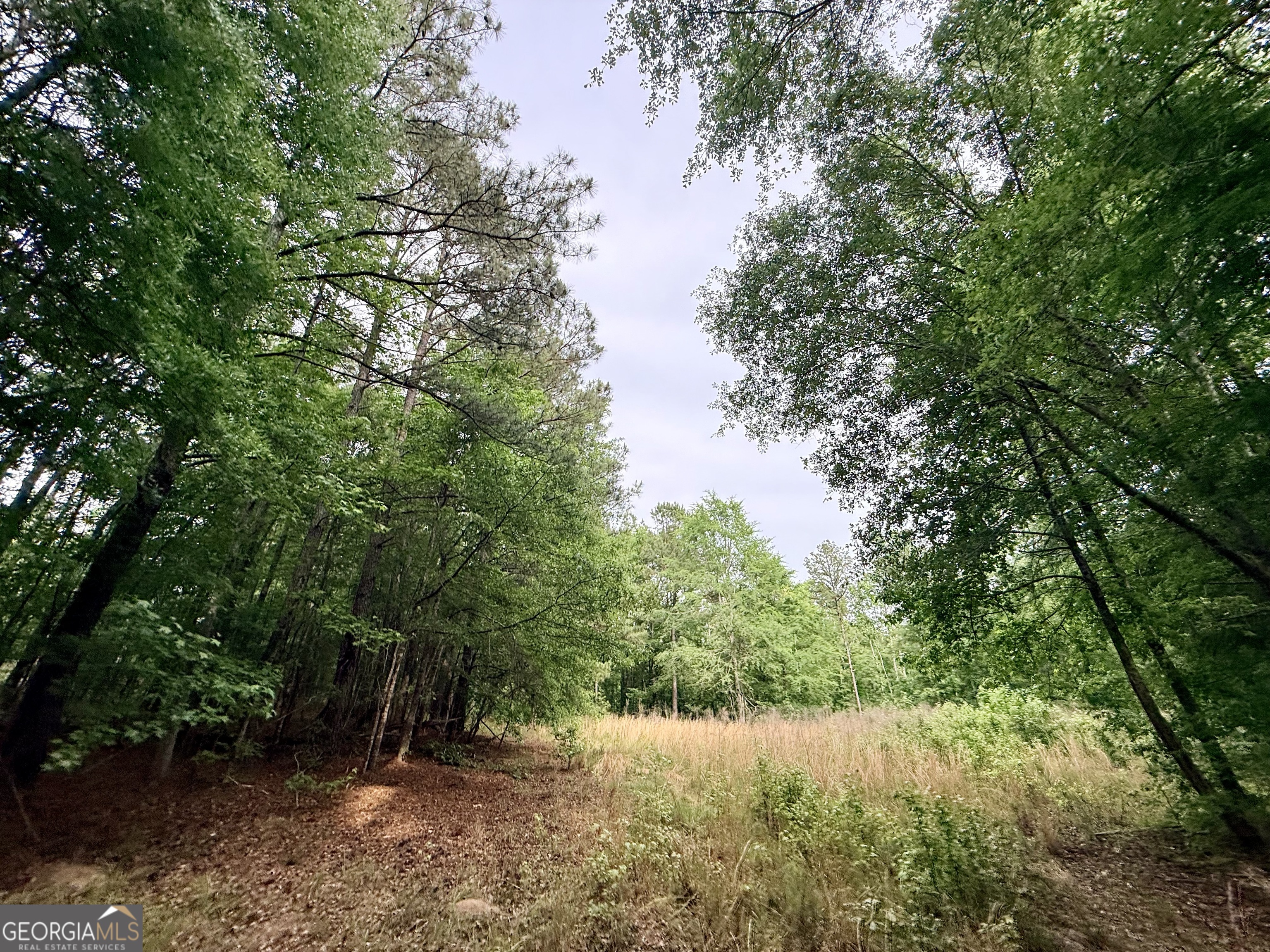 715 Fulsome Creek Road Sparta, GA 31087 - Photo 71 of 117