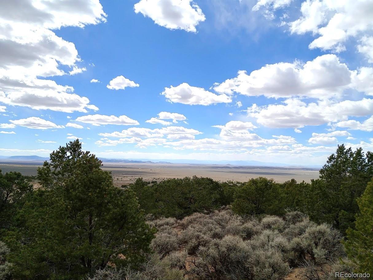 Lot 1258 Michaels Road Fort Garland, CO 81133 - Photo 5 of 14 Gallery Image 5