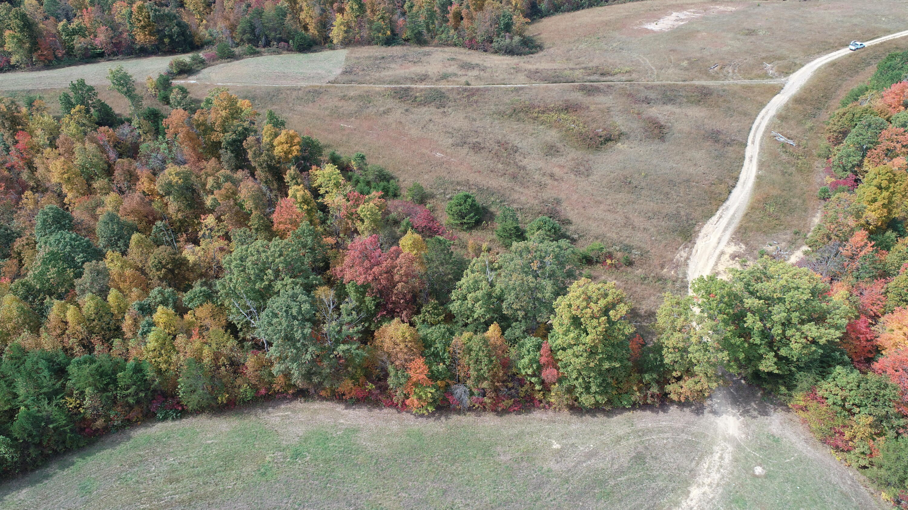 9999 Nichols Branch Road Annville, KY 40402 - Photo 13 of 18 DJI_0490
