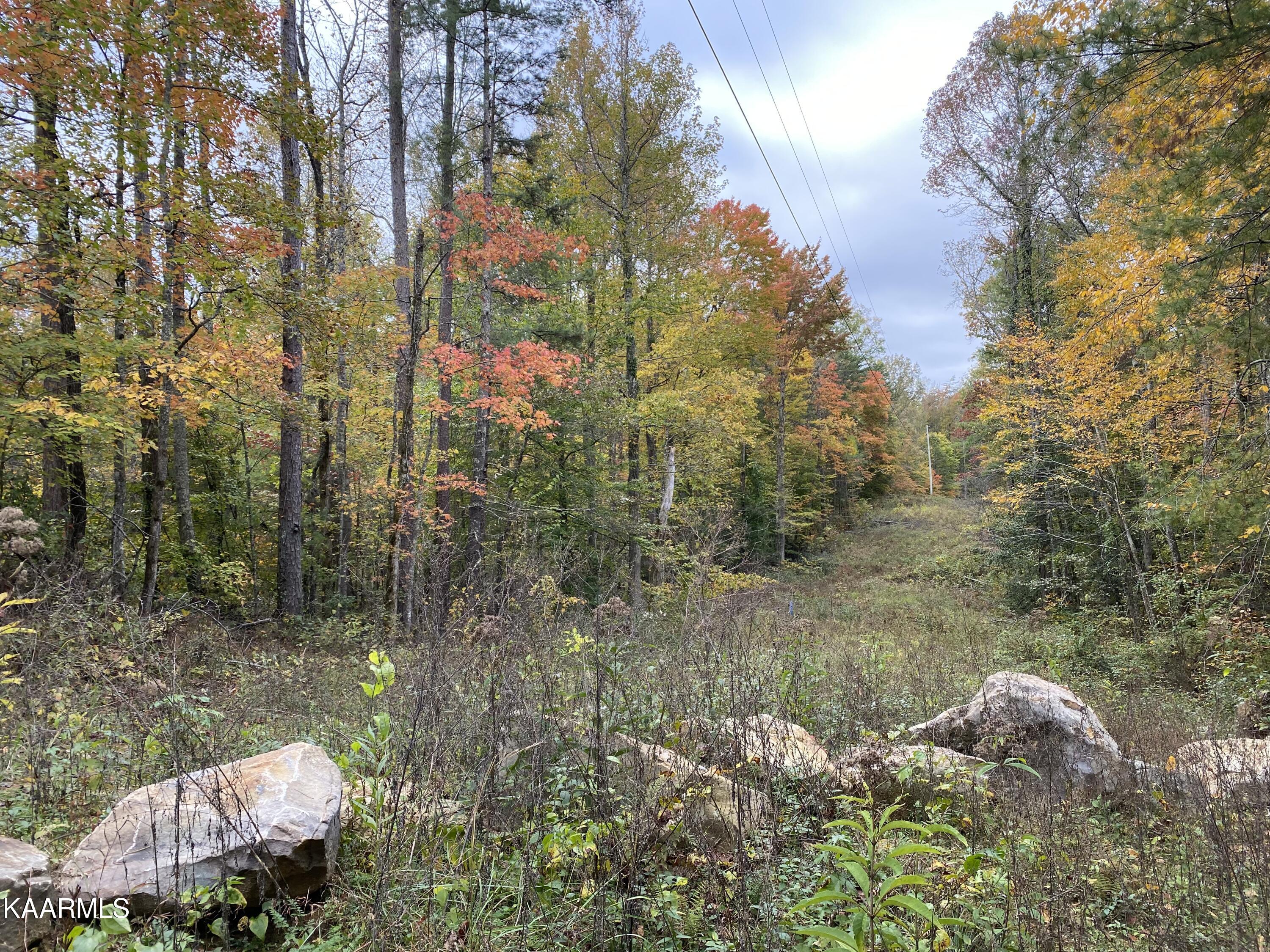 4 Deermont Road Wartburg, TN 37887 - Photo 1 of 7 powerline