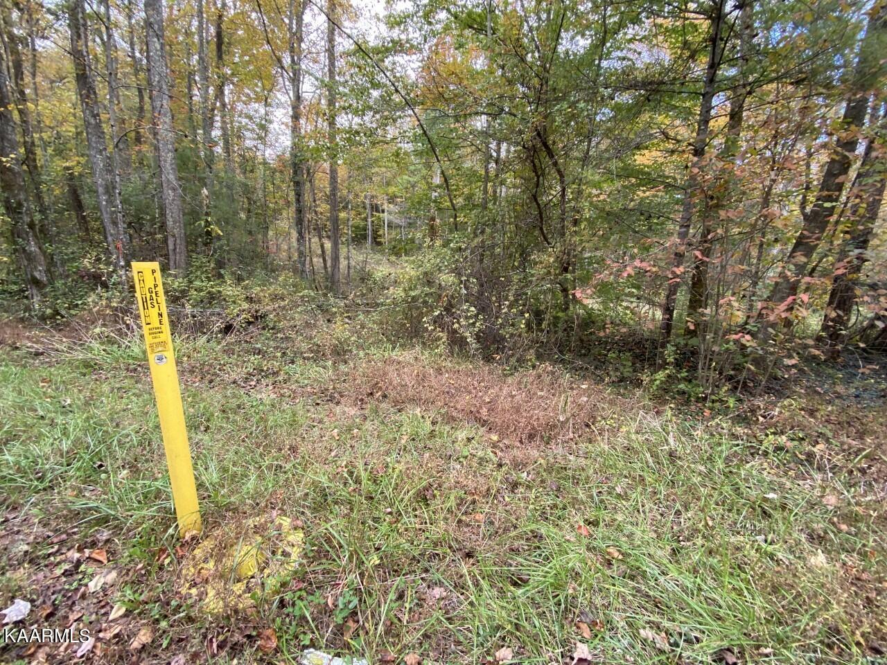 4 Deermont Road Wartburg, TN 37887 - Photo 2 of 7 gas