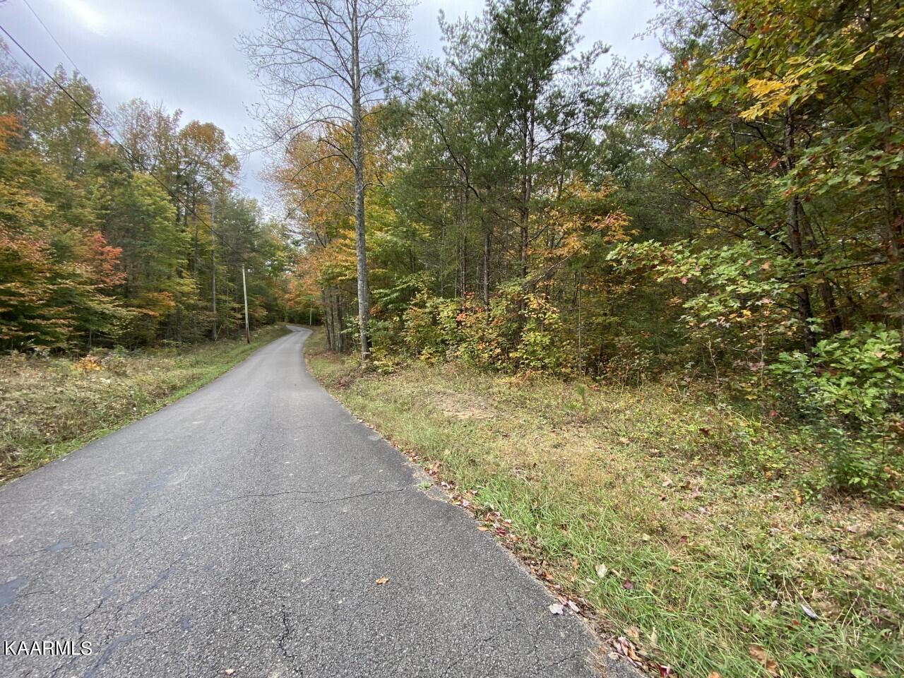 4 Deermont Road Wartburg, TN 37887 - Photo 3 of 7 road view