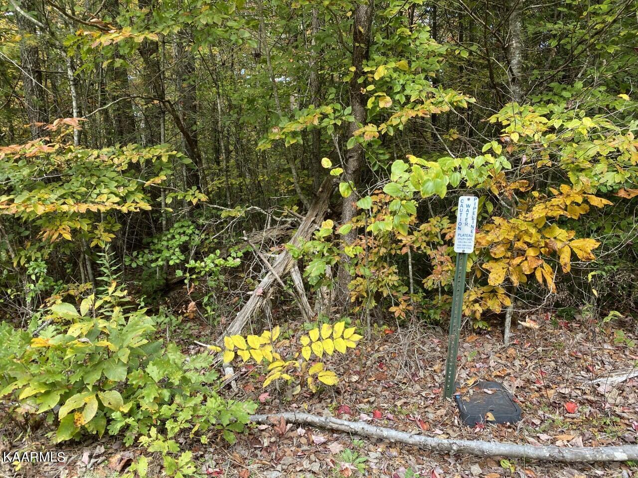4 Deermont Road Wartburg, TN 37887 - Photo 4 of 7 water meter
