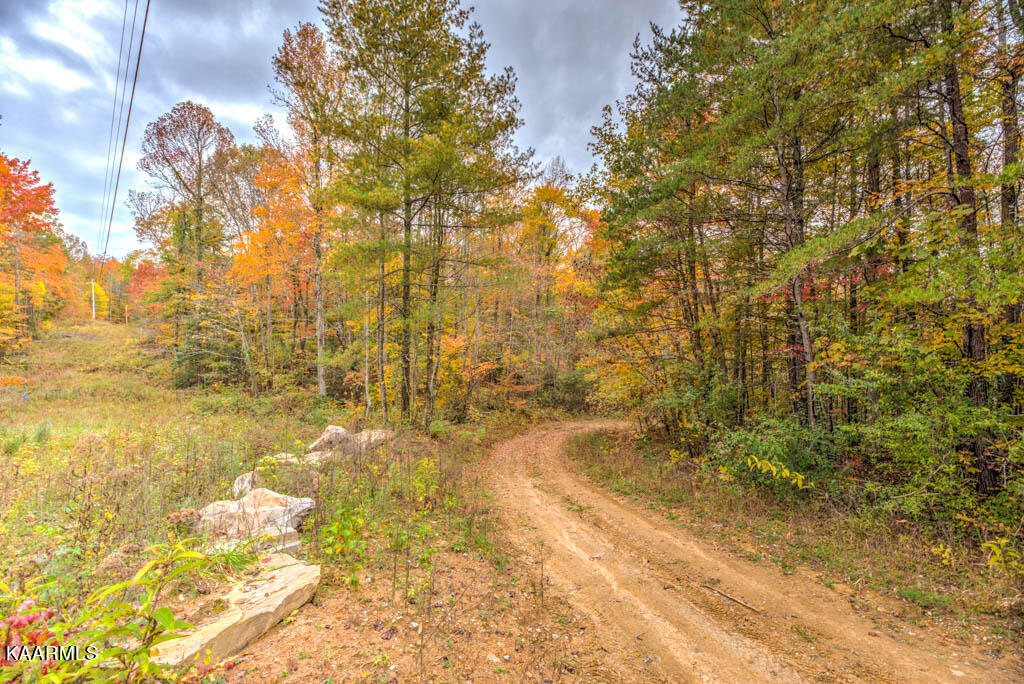 4 Deermont Road Wartburg, TN 37887 - Photo 7 of 7 Tract4shared access road with tract3