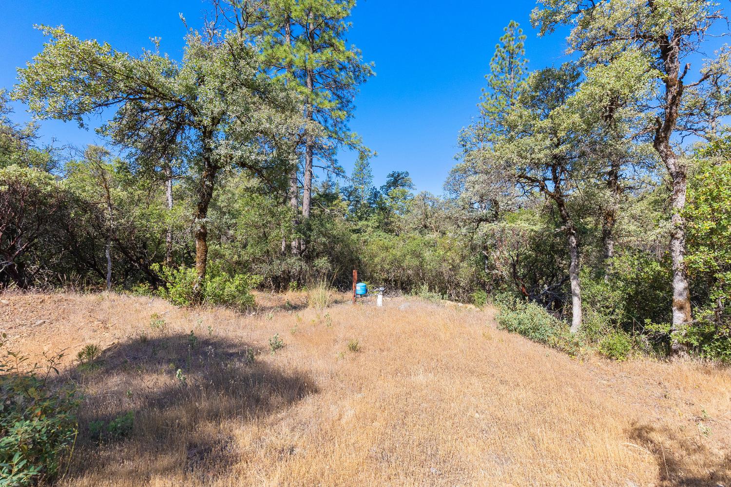 12996 Deadmans Flat Road Grass Valley, CA 95945 - Photo 7 of 12 a view of a dirt road with trees in the background