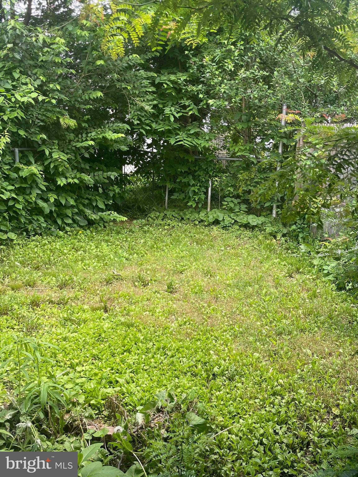 60 West 3rd Street Pottstown, PA 19464 - Photo 13 of 13 a view of outdoor space and yard