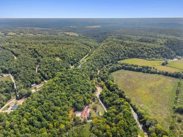a view of a house with a tree and flower plants
