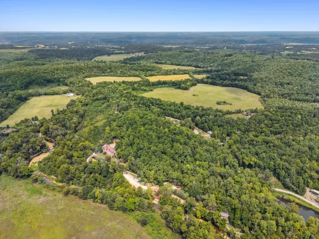 a lake with lots of trees