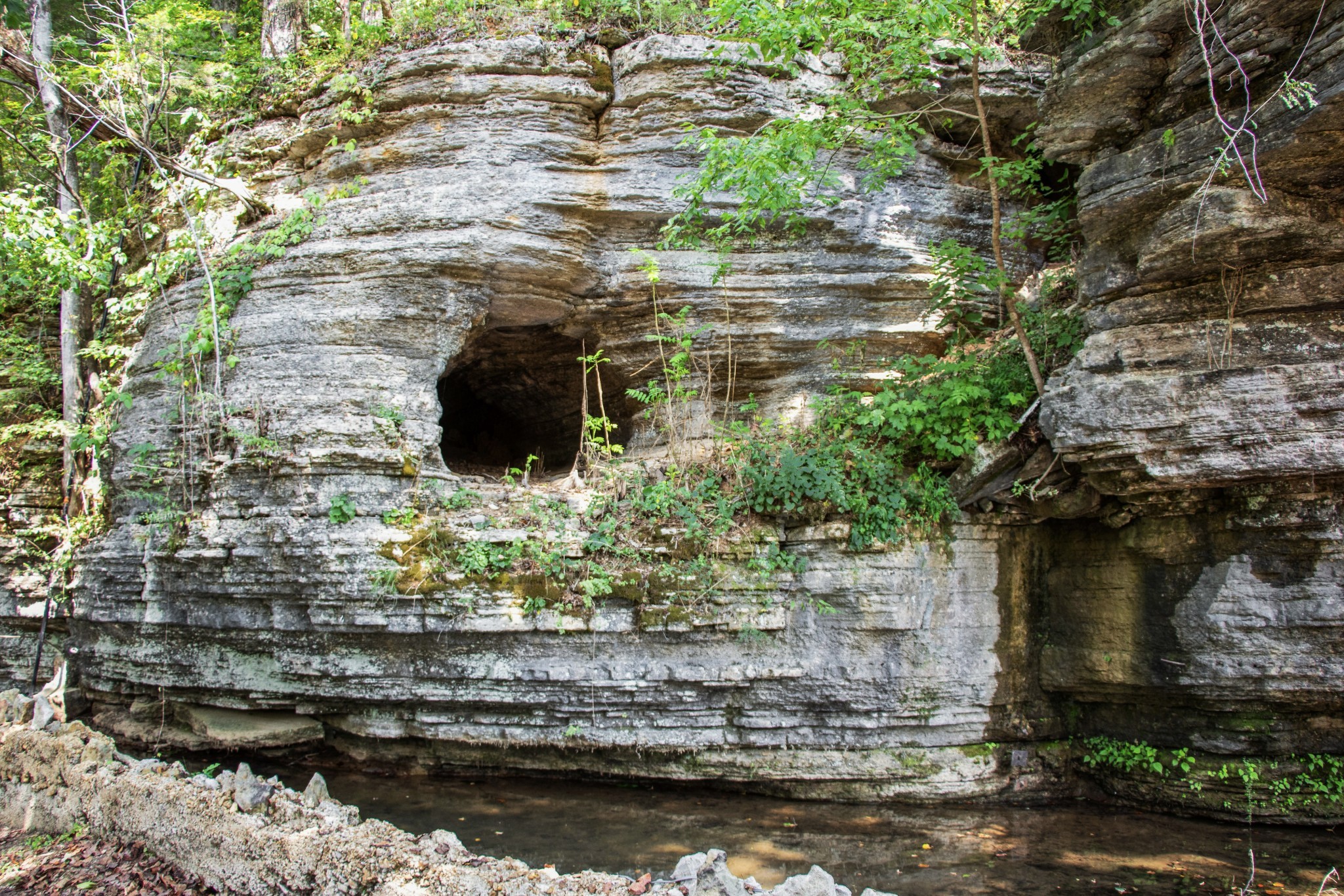 299 Natural Bridge Park Road Waynesboro, TN 38485 - Photo 60 of 63 a lake with lots of trees