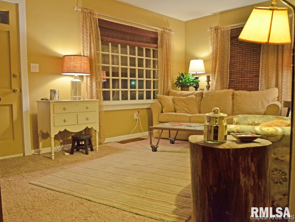 3145 South 5th Street Springfield, IL 62703 - Photo 19 of 22