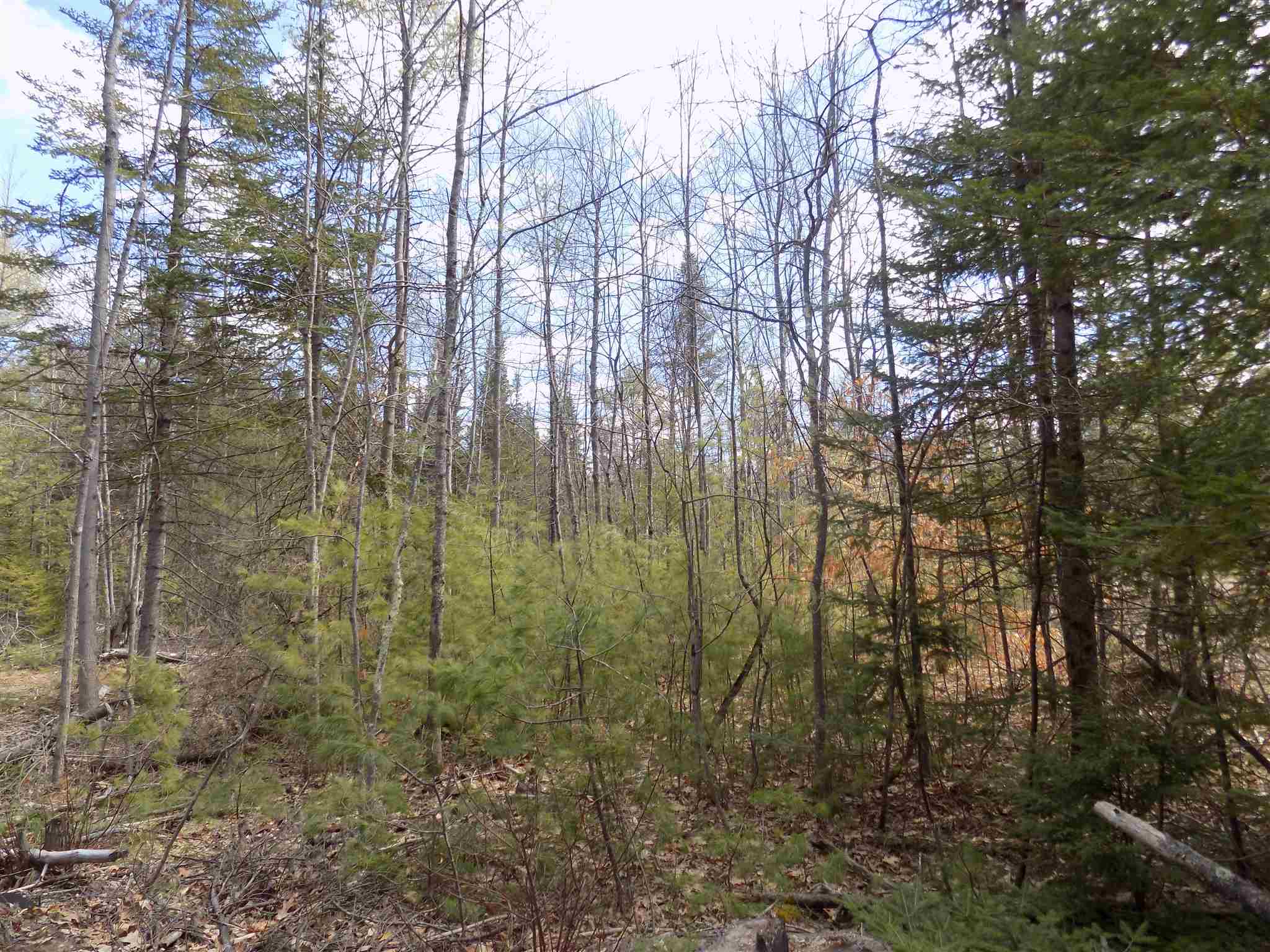 0 Lords Hill Road Brownfield, ME 04010 - Photo 5 of 5