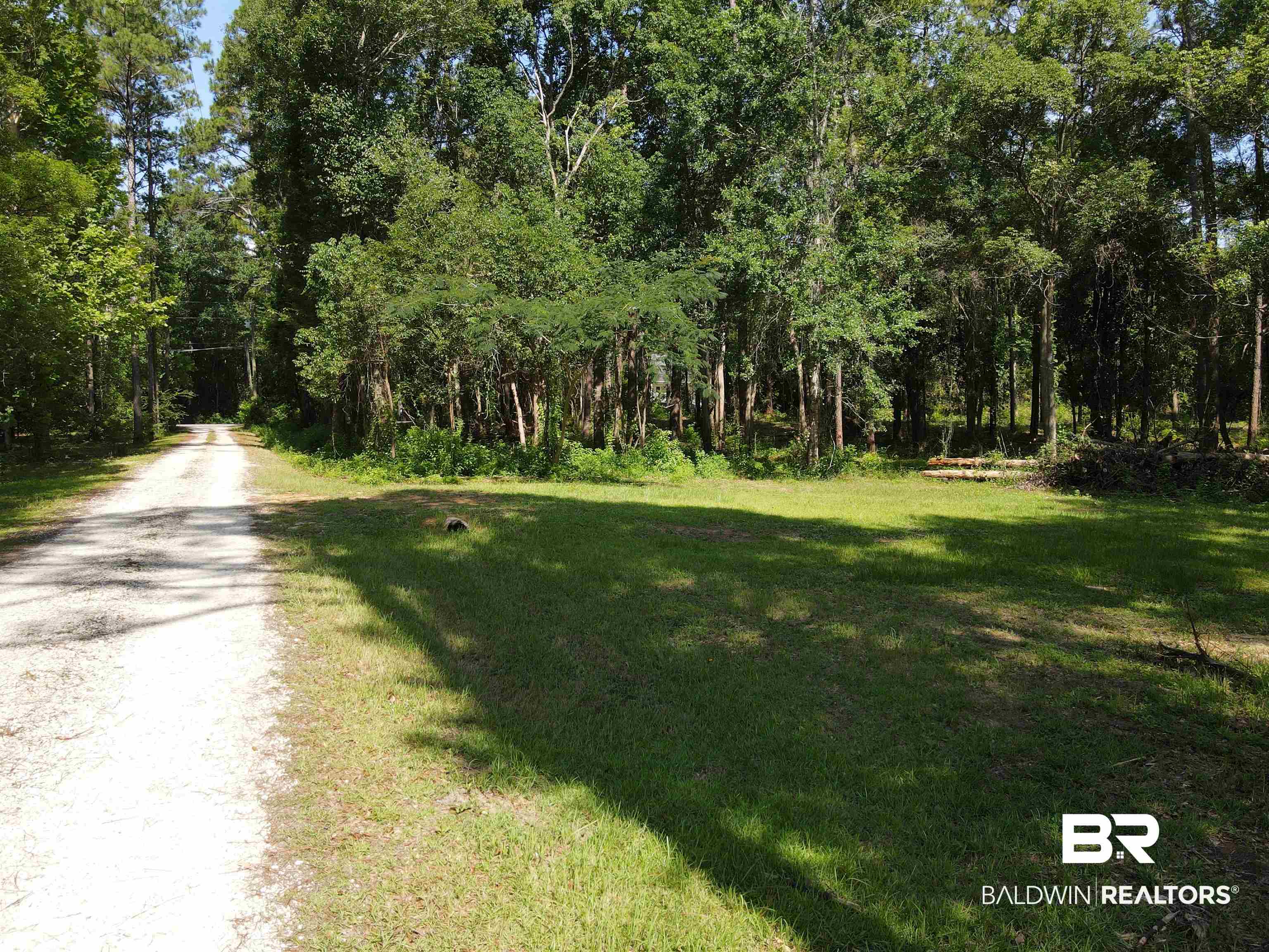 0 Ferry Road Fairhope, AL 36532 - Photo 2 of 7 View of street with a wooded view