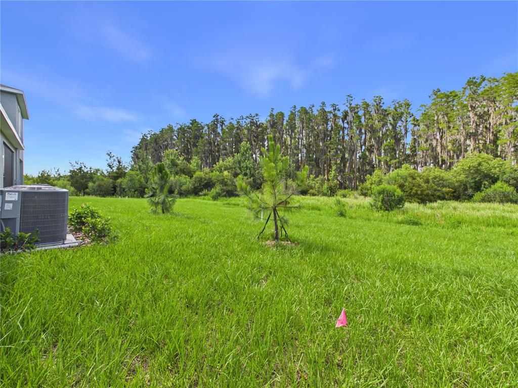 32519 Welling Blade Loop Wesley Chapel, FL 33545 - Photo 51 of 87