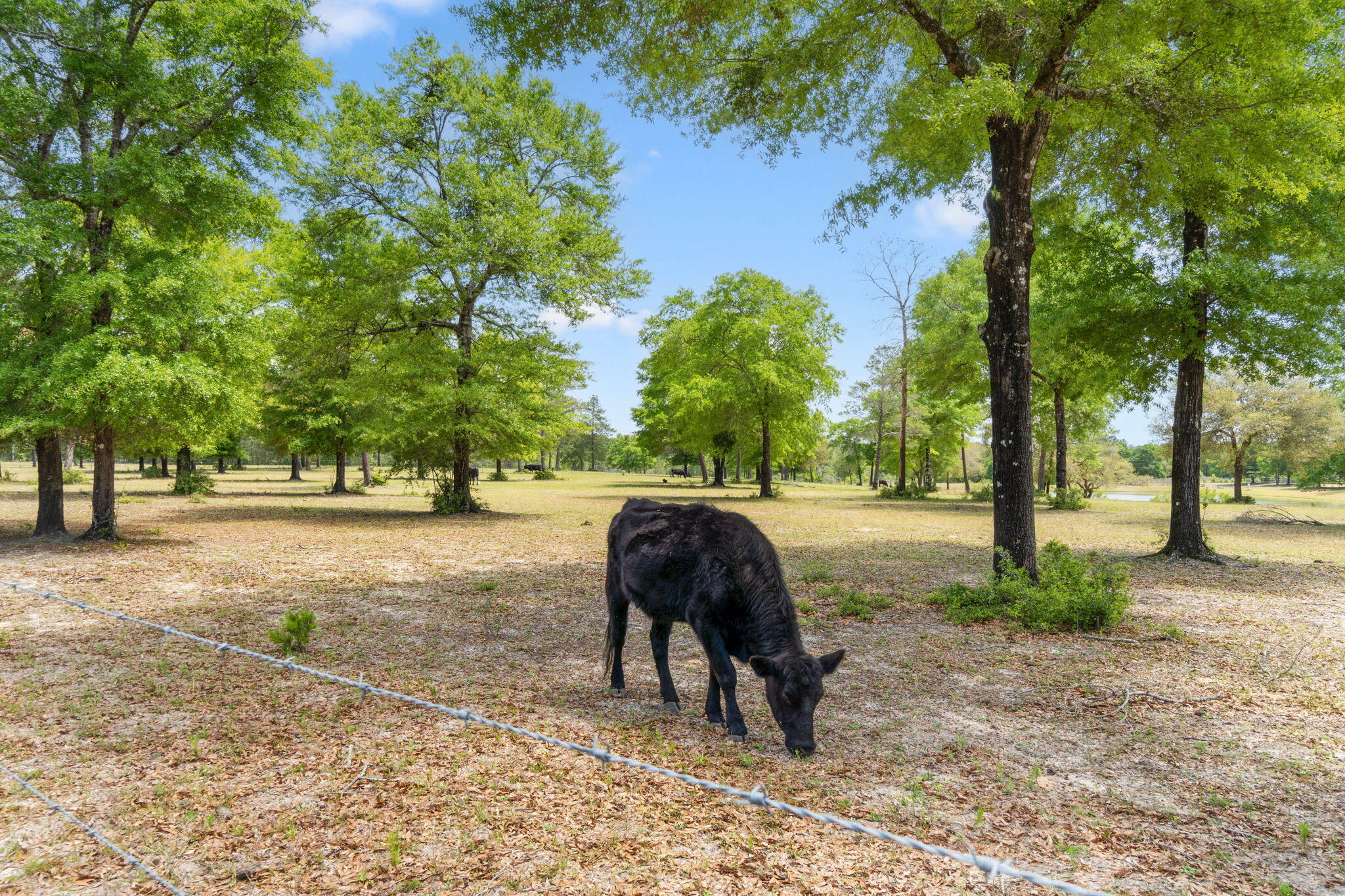 4370 Kls Ranch Road Crestview, FL 32539 - Photo 60 of 75 4370 KLS Ranch Road