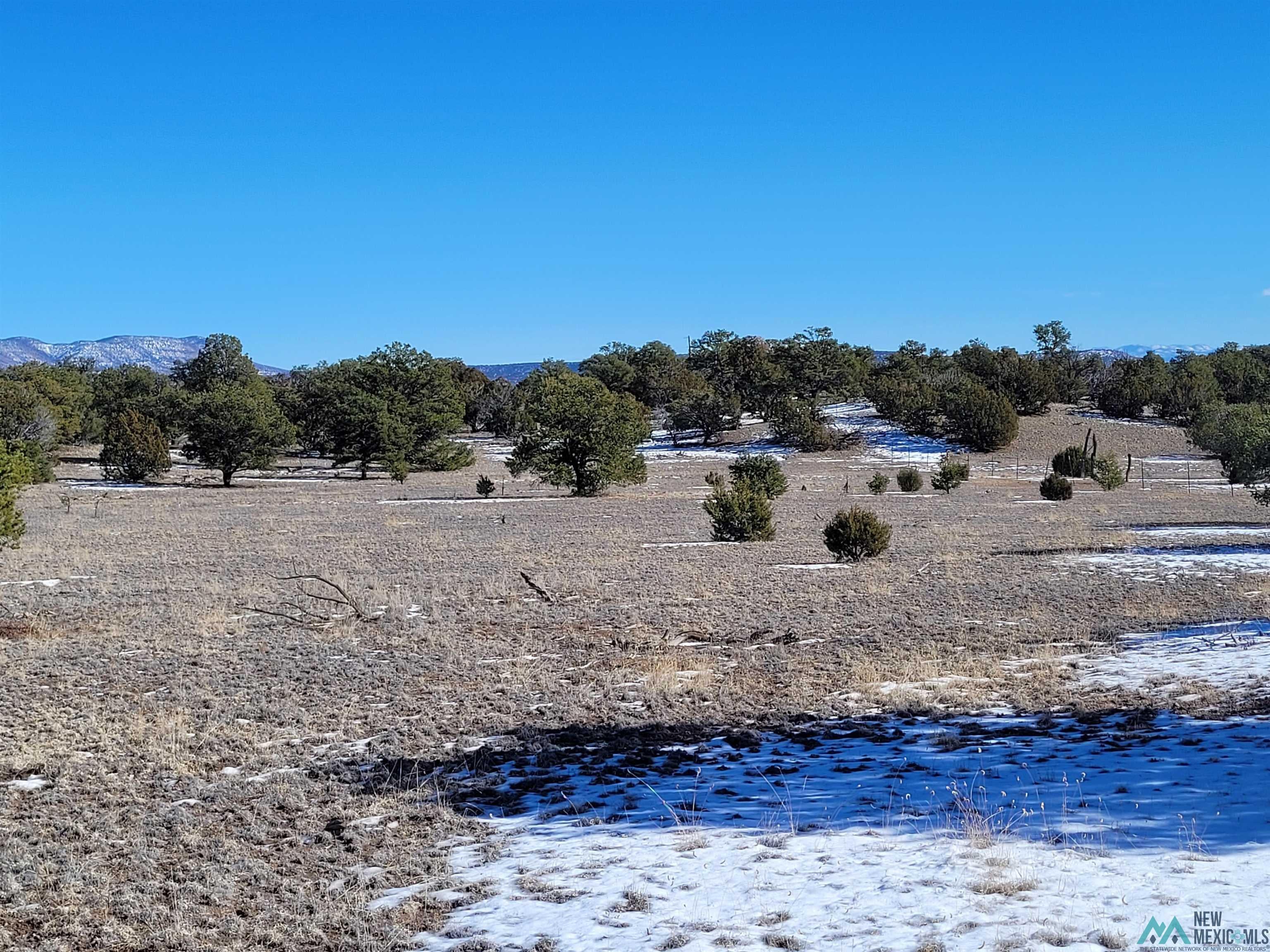 1 Jackass Lane, Unit 1 Datil, NM 87821 - Photo 23 of 46 Gallery Image 23