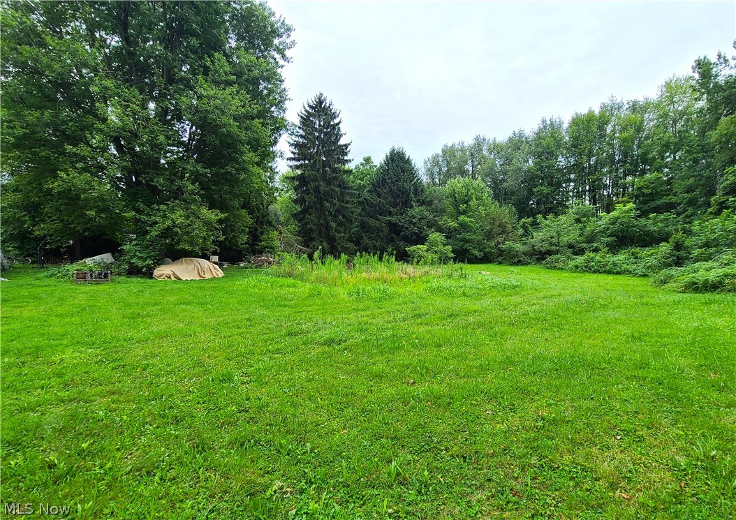 3104 Greenleaf Road Akron, OH 44312 - Photo 4 of 7