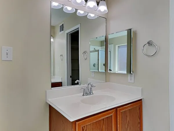 a bathroom with a sink vanity and a mirror
