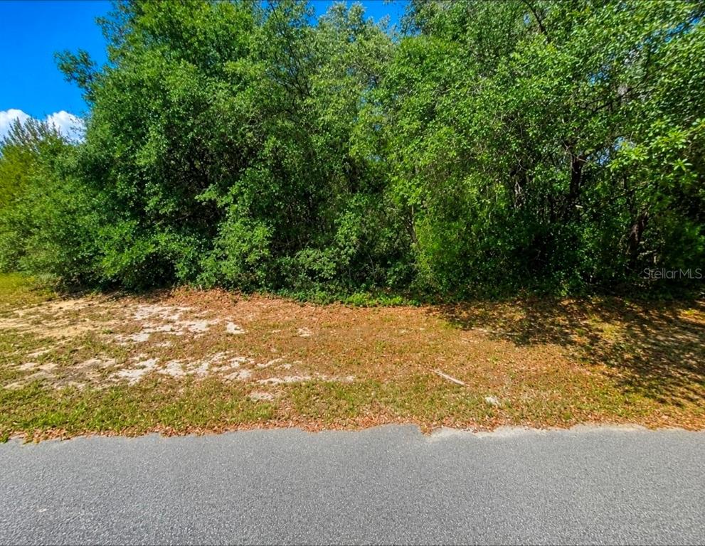 Southwest 164th Place Road Ocala, FL 34473 - Photo 1 of 1