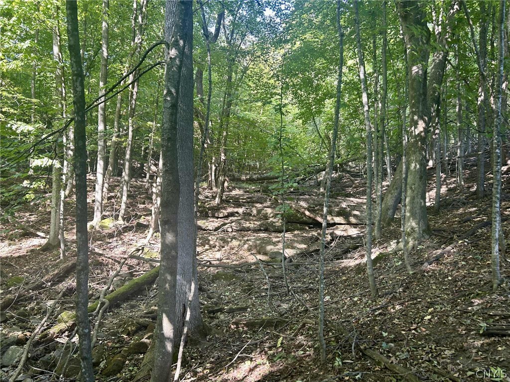 22 Lost Village Road Oswegatchie, NY 13669 - Photo 15 of 17