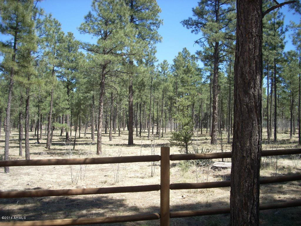 2763 Canyon Ridge Road, Unit 111 Overgaard, AZ 85933 - Photo 1 of 11 2763 Canyon Ridge1
