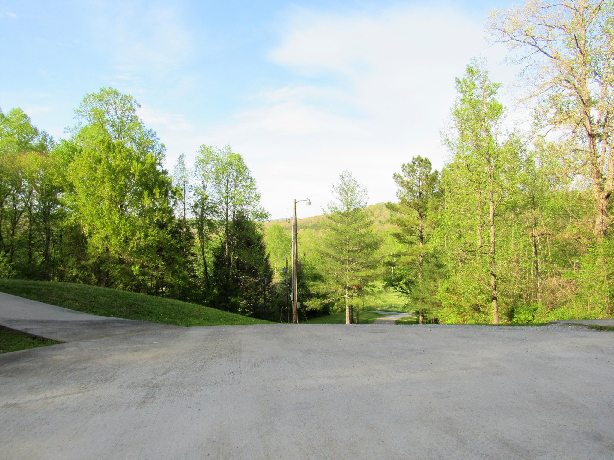 155 Fritts Road Lancing, TN 37770 - Photo 30 of 30 a view of a yard