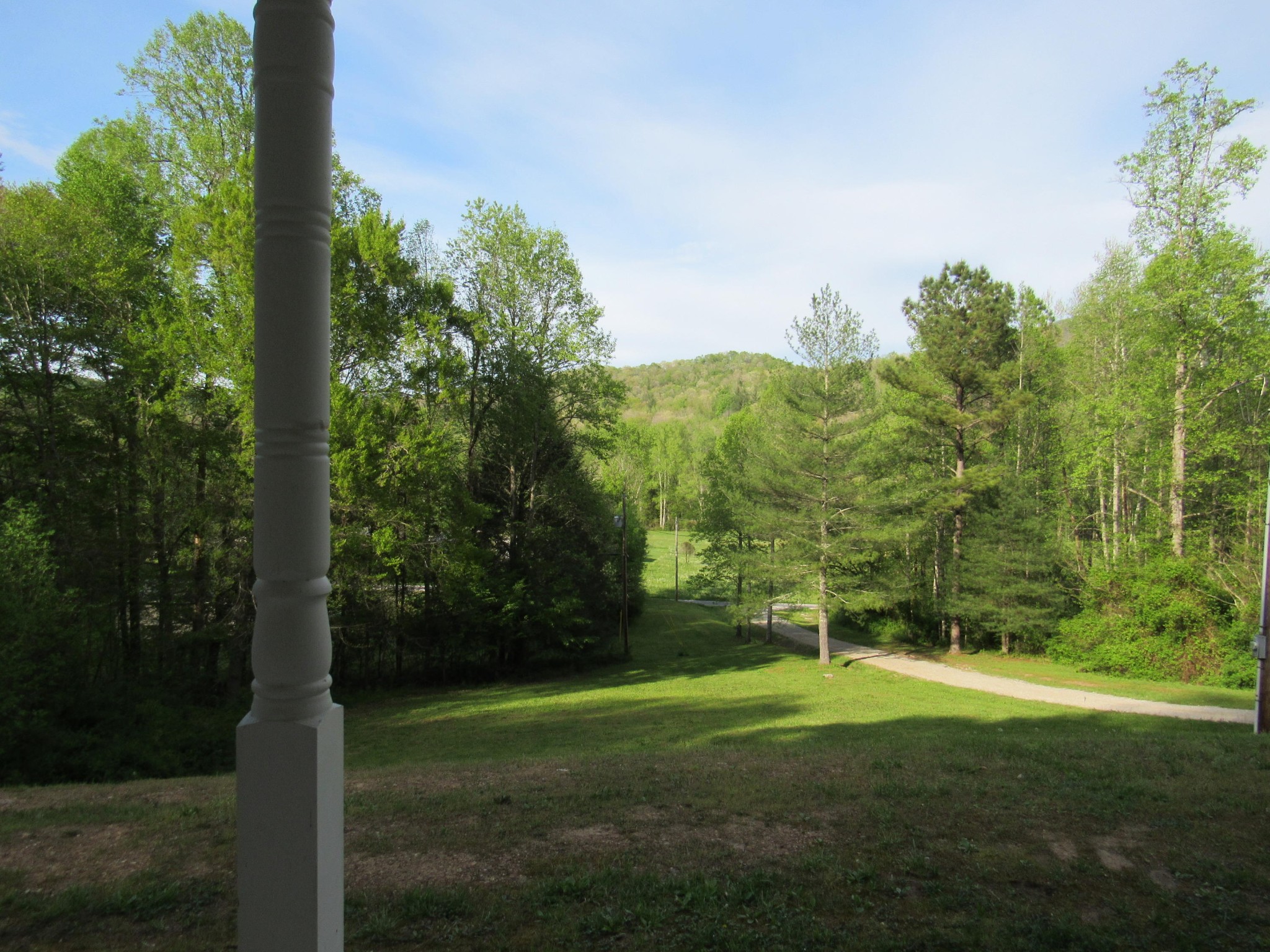 155 Fritts Road Lancing, TN 37770 - Photo 4 of 30 a view of a field with a tree
